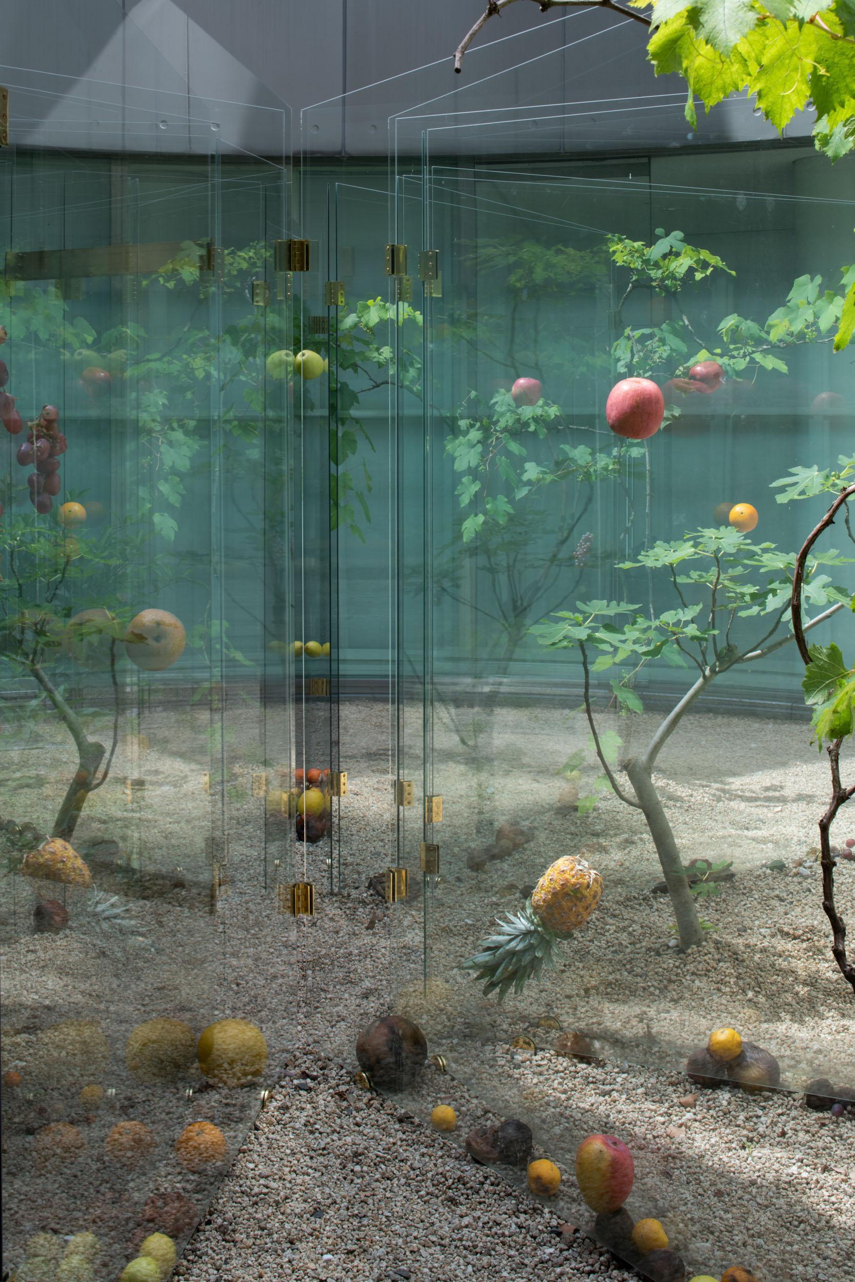 NACT View 04 Reijiro Wada: FORBIDDEN FRUIT | Special Exhibitions